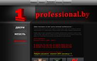 1professional.by