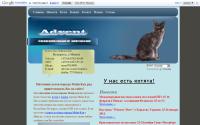 advent-coon.com