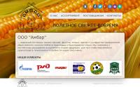 ambarorg.ru