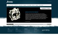 amsky.ru