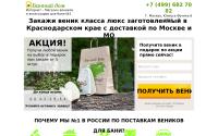bannyidom.ru