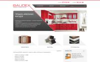 baudex.ru