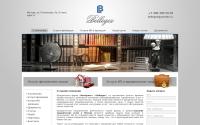 belleges.ru