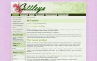 cattleya-krd.ru