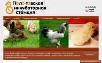 ciplenok.com