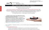 dvs96.ru