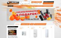expert-el.ru