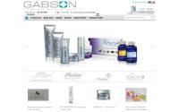 gabson.de