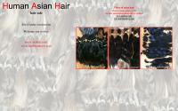 humanasianhair.com