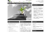 ifcg.ru