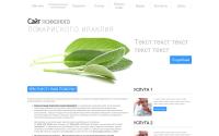 ipozhar.ru