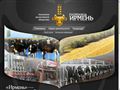 irmen.ru