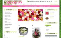 ivbrabion.ru