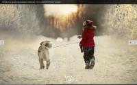 jeraf.ru