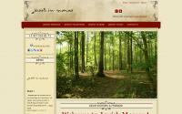 jewishmoscowtours.com