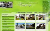 kareta-petergof.ru