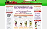 kvitosvit-semena.com.ua