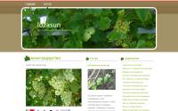 lozasun.ru