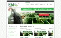 mazemoney.ru