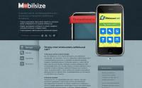 mobilsize.ru