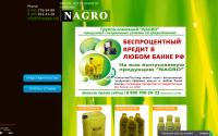 nagroinvest.ru