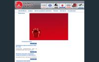 nnauto.ru