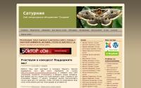 nsaturnia.ru