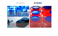perint.ru
