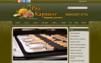 procarving.ru