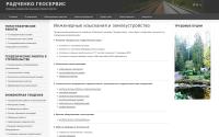 rgeoservice.ru