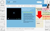 sapsans.com