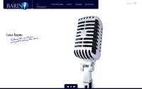 sashabarin.com