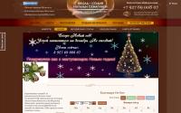 semaginastudio.ru