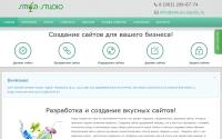 smuzi-studio.ru