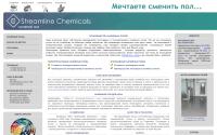 st-paint.ru