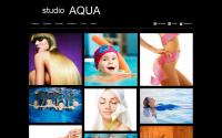 studioaqua.lg.ua