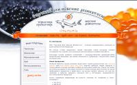 tdnd.ru
