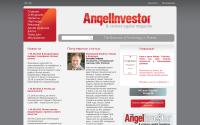 theangelinvestor.ru