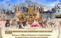 tiffany-chihuahuas.com