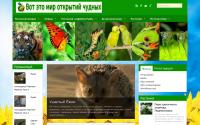 vikipendia.ru