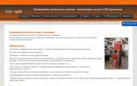 viz-spb.ru