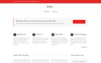 yourdallasseo.com