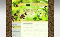 zvezda-shopping.ru